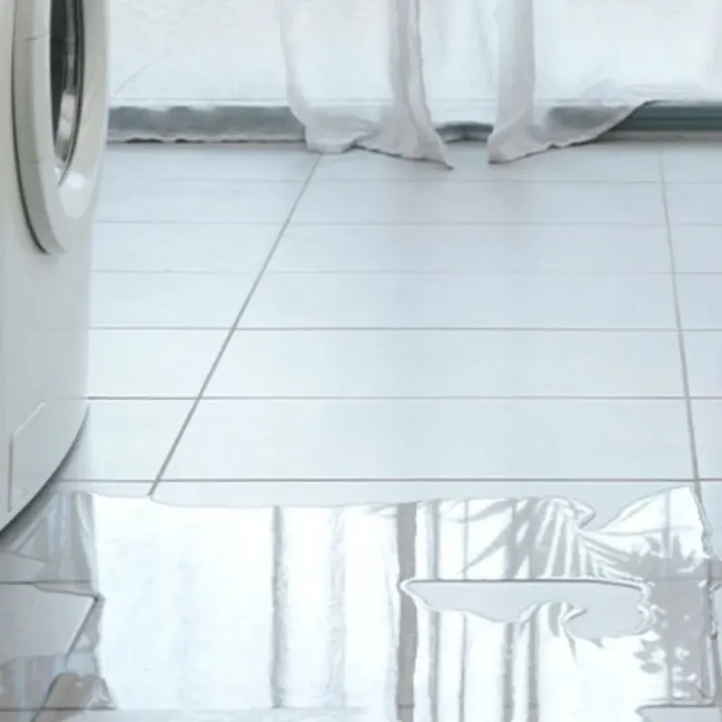Appliance Leak Cleanup in Everett, WA