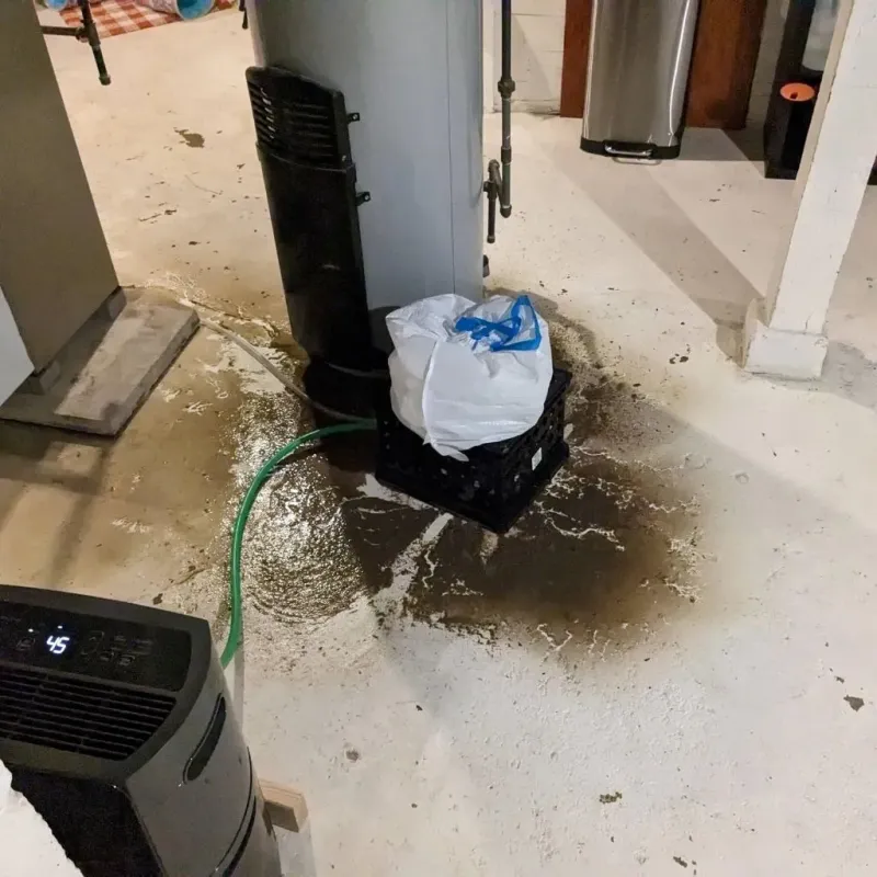 Sewage Backup Cleanup Service in Everett, WA